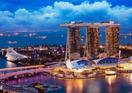 摇钱树捕鱼下载电脑免费版