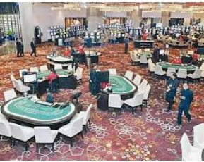 摇钱树捕鱼下载手机版